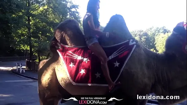 Video hay nhất Lexidona - Camel thú vị