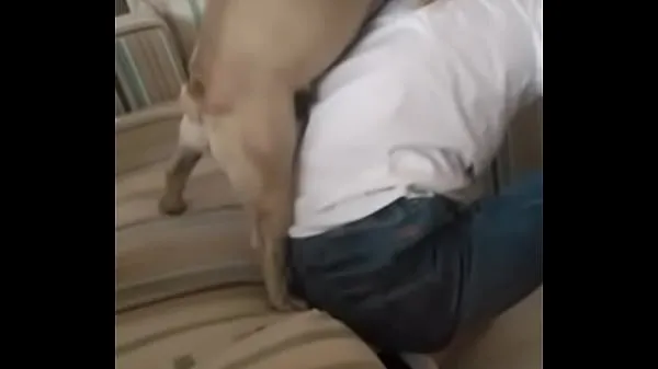 最高のSex-starved dog fucks youngクールなビデオ