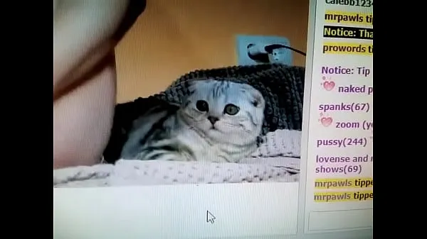Best Camgirl masturbating next to scared cat cool Videos