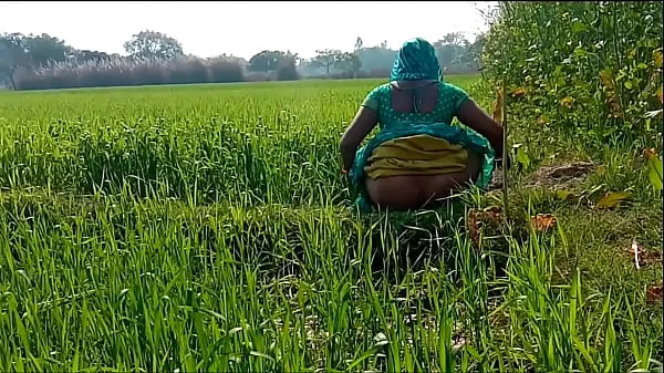 Parhaat Rubbing the country bhaji in the wheat field hienot videot