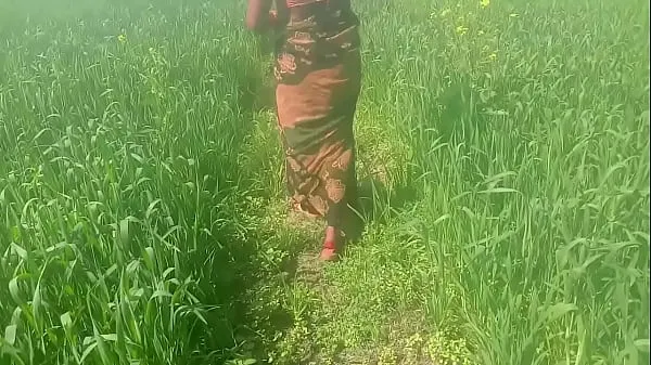 Bedste Wheat Field Rubbing Ke Chod Dehati Video seje videoer